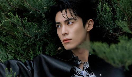 王鹤棣大瓜最新爆料视频,娱乐圈惊人内幕曝光  第1张